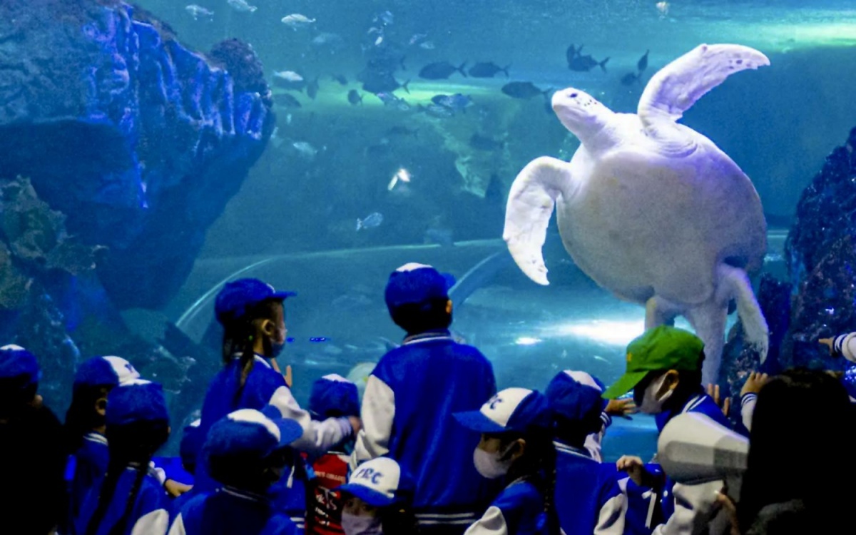 Das aquarium des chiang mai zoos wird nach einer 29 millionen baht investition wiedereroeffnet