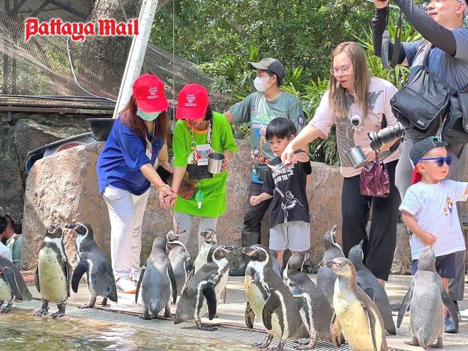 Bezaubernde begegnungen im khao kheow open zoo an songkran