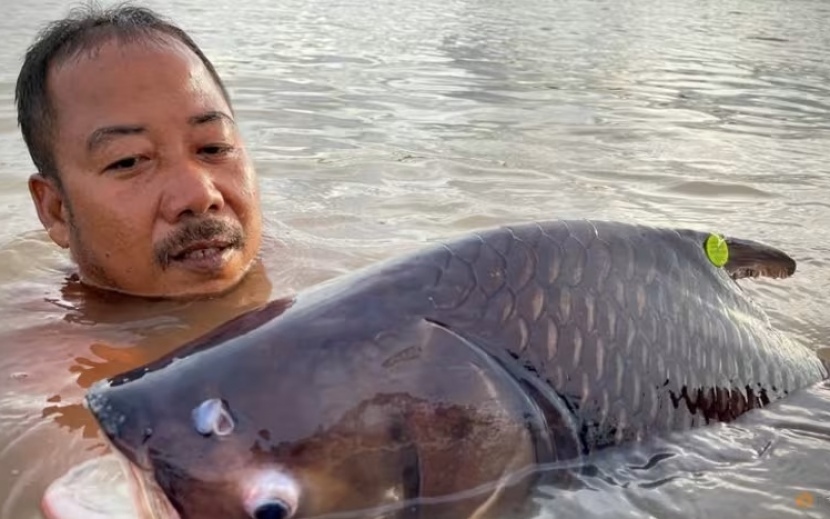 Ein fuenftel der fischarten im mekong ist vom aussterben bedroht so ein bericht