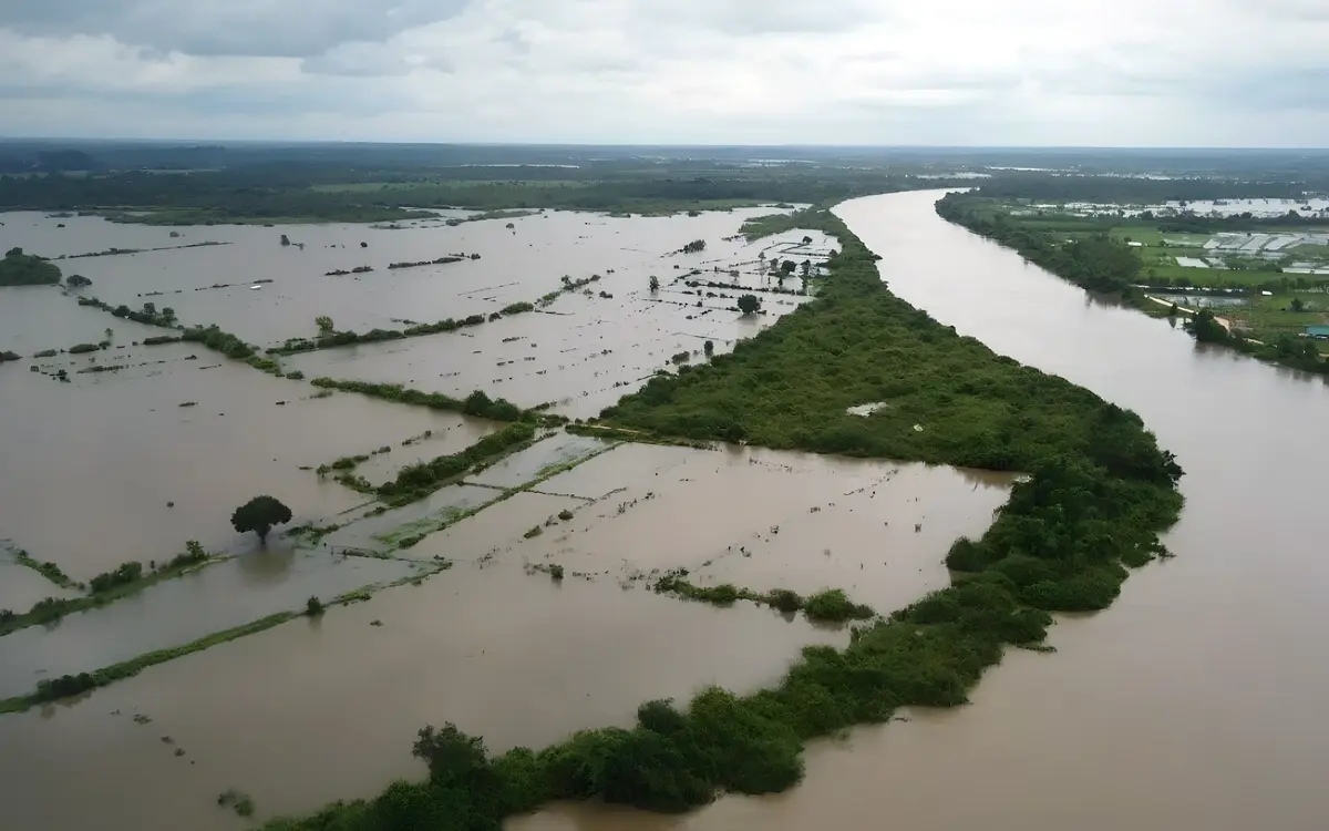 Gesamte provinz nakhon phanom im nordosten thailands zum flutkatastrophengebiet erklaert fotos der