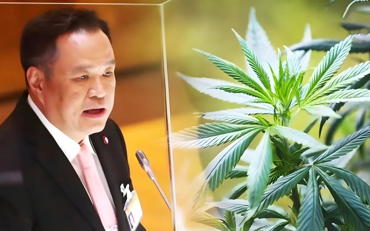 Innenminister wirft dem parlament verrat bei der cannabisgesetzgebung vor