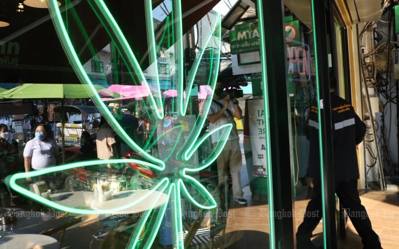 Regierung verzoegert verabschiedung von cannabis verbotsgesetzen