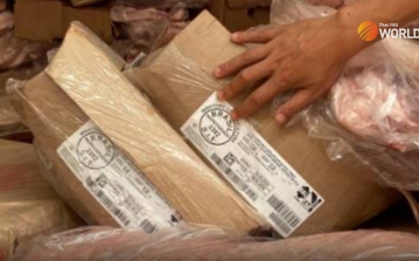 Unversteuertes gefrorenes schweinefleisch in laem chabang containern entdeckt