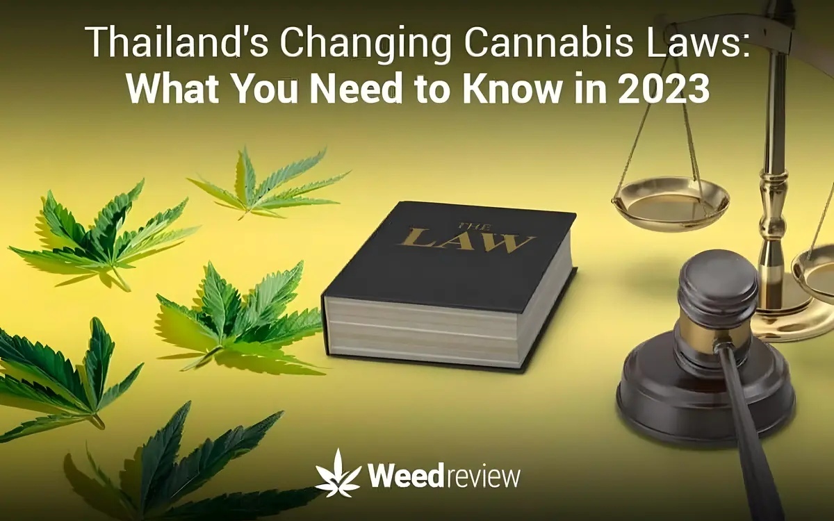 Update neues gesetz zur verwendung von cannabis