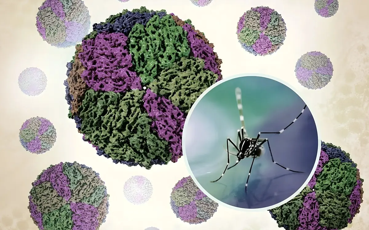 Dengue fieber in thailand ein erfahrungsbericht f3766099