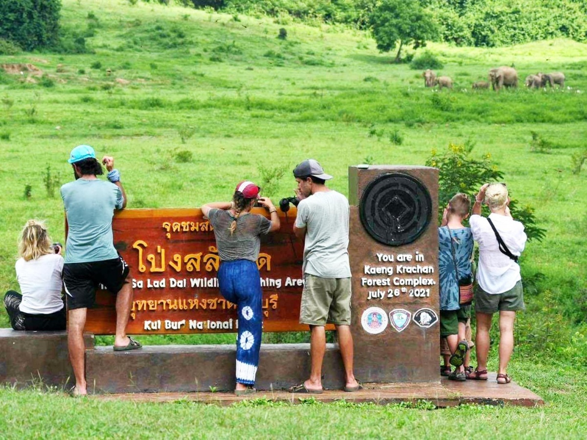 Deshalb ist jetzt eine gute zeit um elefanten im kuiburi nationalpark zu sehen 99b99413