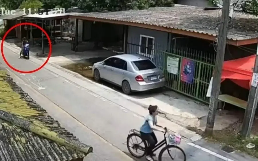 Dreister diebstahl belgische radlerin gestuerzt taeter war erst seit einem monat frei video aae6b0ad