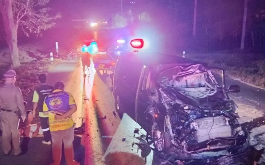 Duell mit elefant und deutschem minivan in chonburi zwei verletzte personen und ein toter elefant 4170f0d9