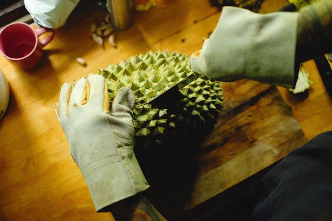 Durian koenig der fruechte d0d0f29a
