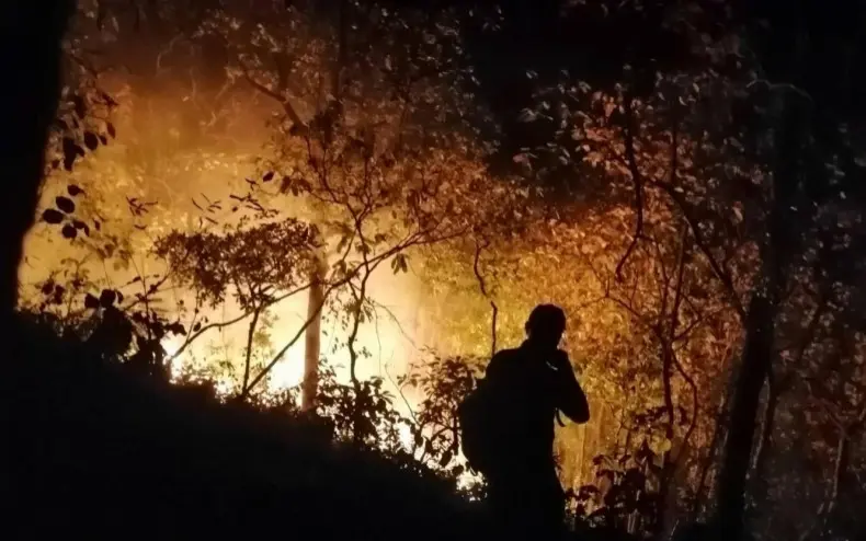 Gefaehrliche waldbraende in pak chong feuerwehrkaempfer siegen nach acht tagen 387e529c