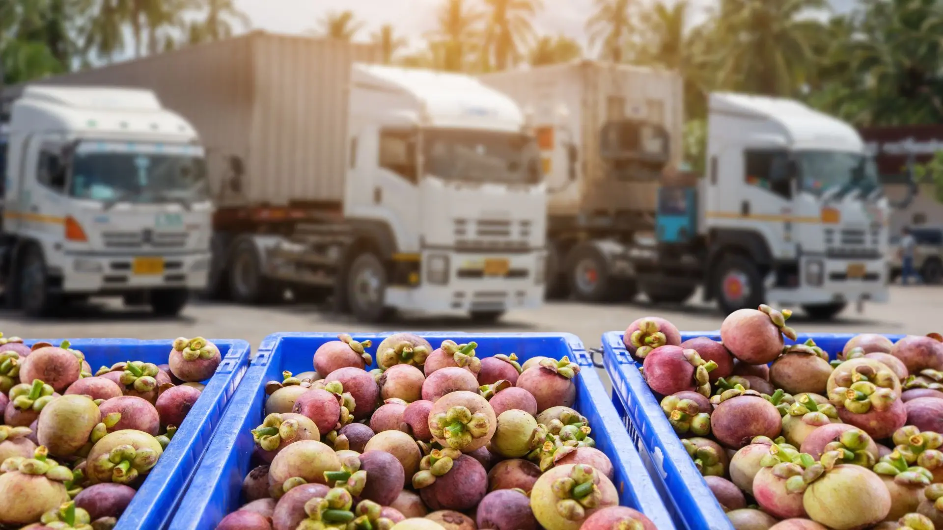Handelsrouten und kultureller Austausch