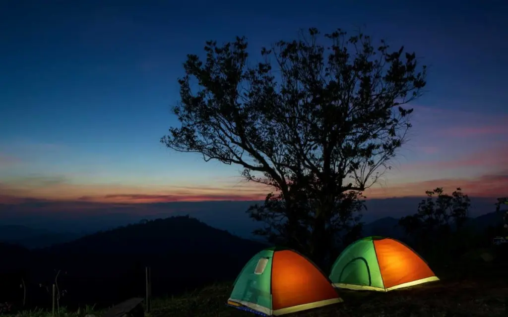 Hochgiftige gebirgskreatur in thailand enteckt 41e4d258