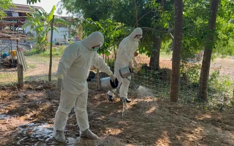 Hunderte nach Anthrax-Kontakt in Sorge