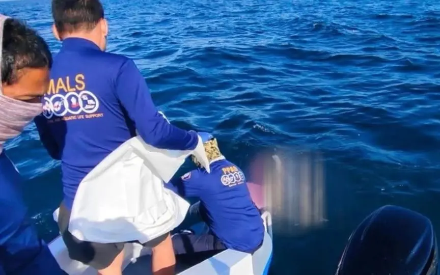 Leiche einer auslaenderin treibend im meer nahe der insel racha gefunden 5202cc48