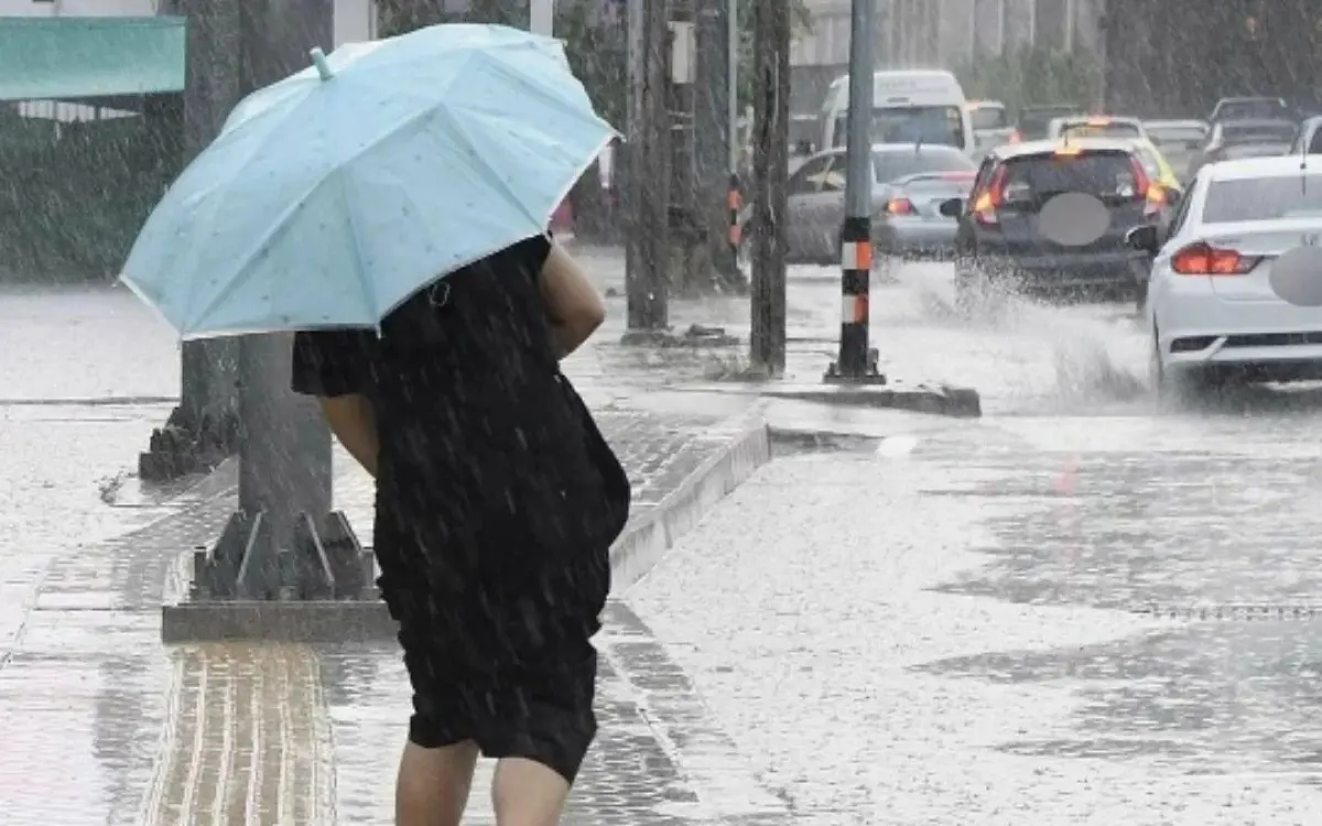 Meteorologen warnen sommersturm rollt an bis zu 41 grad hitze 37de3ba8