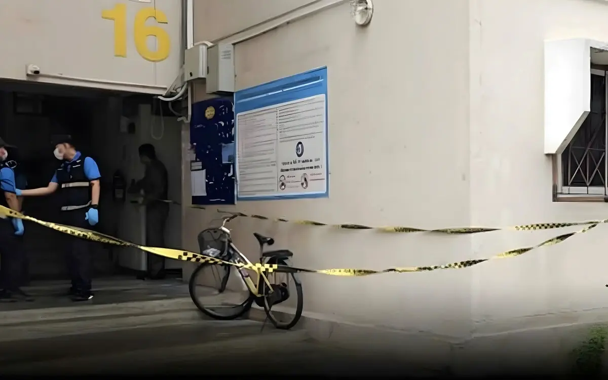 Mord an gefesselter frau in wohnung mindestens 3 tage tot warum wurde darunee brutal ermordet 1e12c5a4