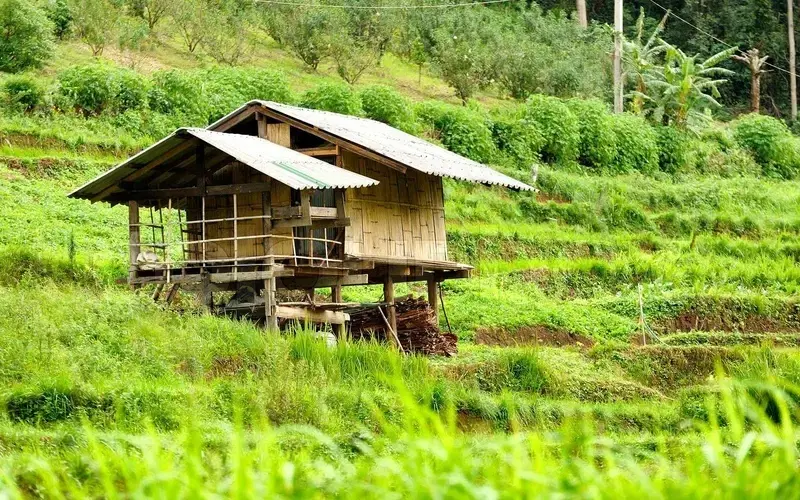 Nase voll von Bangkok – Irgendwelche Tipps für einen anderen Wohnort?
