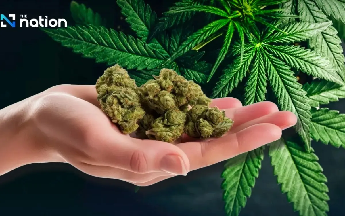 Offizielle eilmeldung cannabis nur noch mit rezept 0b7039ec