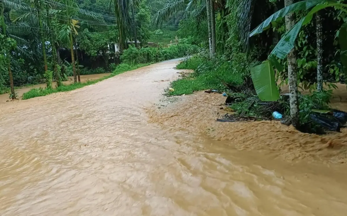 Phang nga versinkt im chaos 6dc95aa9