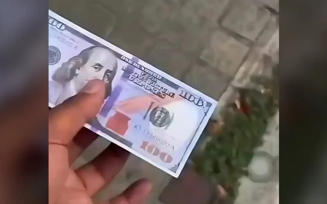 Phuket eklat tourist wirft fake dollar aus auto empoerung ueber respektlosigkeit video d6131ffc