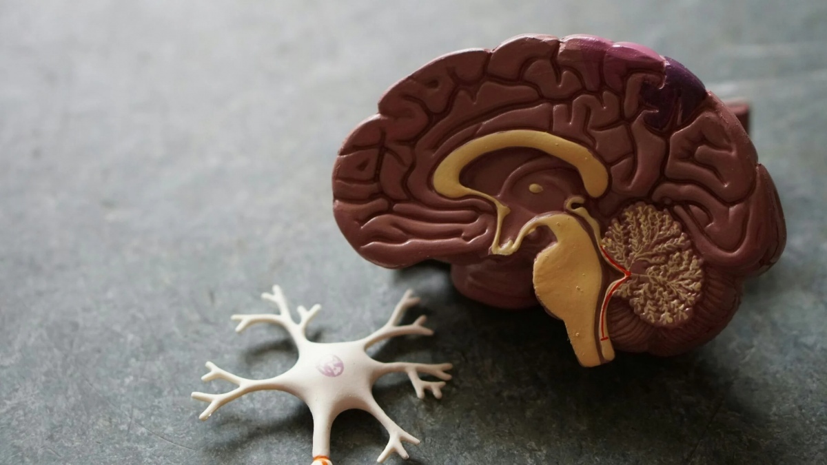 Propionat ergaenzungen eine neue hoffnung fuer parkinson betroffene d2656b20