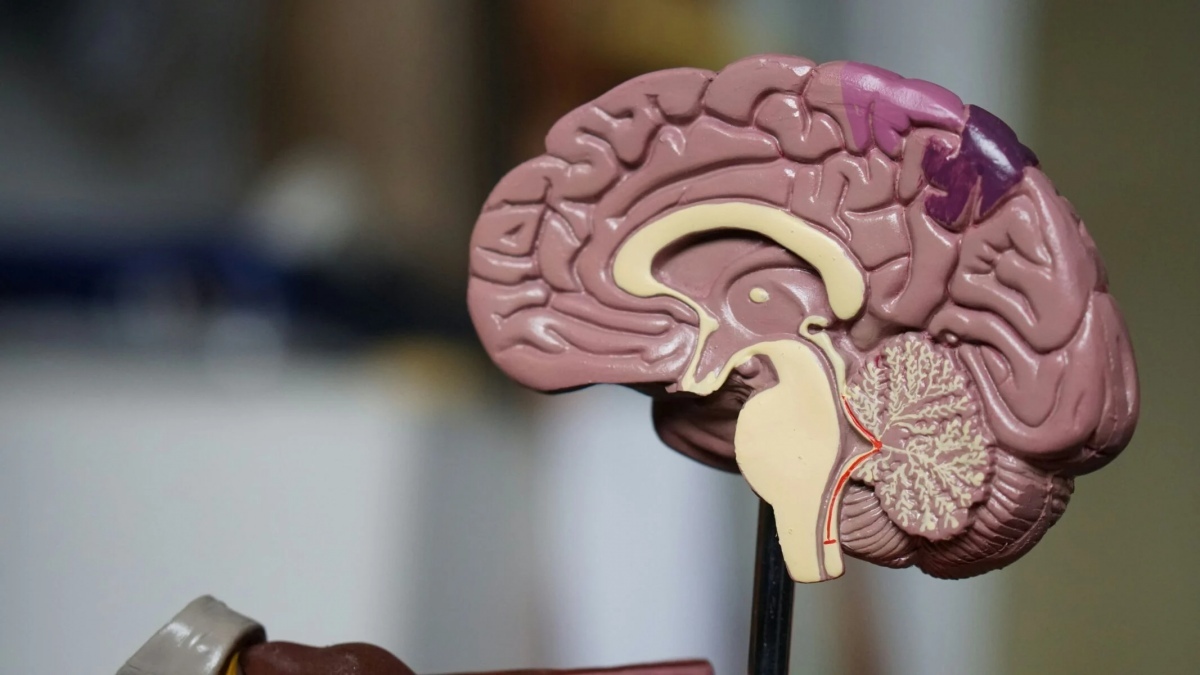 Propionat ergaenzungen eine neue hoffnung fuer parkinson betroffene dcdd826d