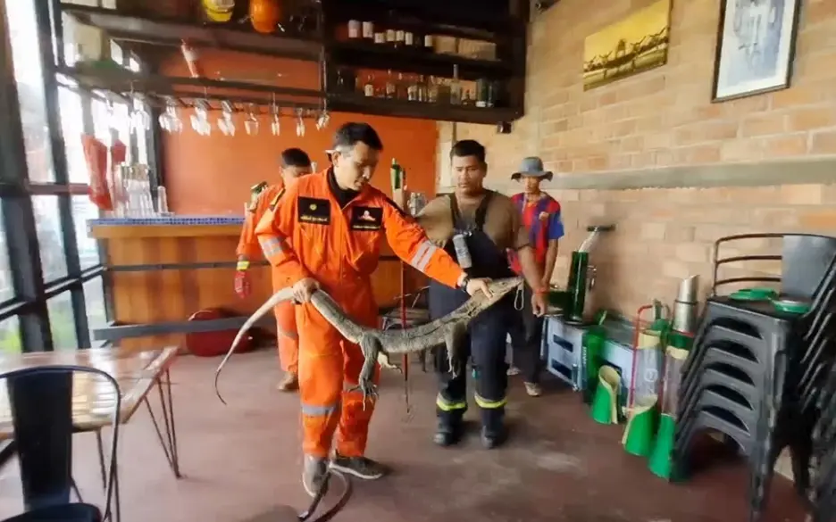 VIDEO: Riesen-Echse terrorisiert Touristen in Restaurant