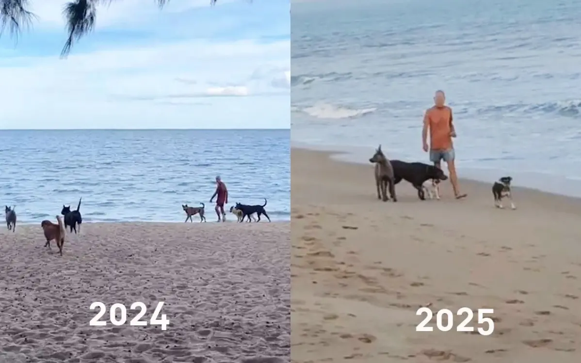 Schweizer hundebesitzer sorgt fuer angst und aufregung am suan luang beach in thailand d51d49f8