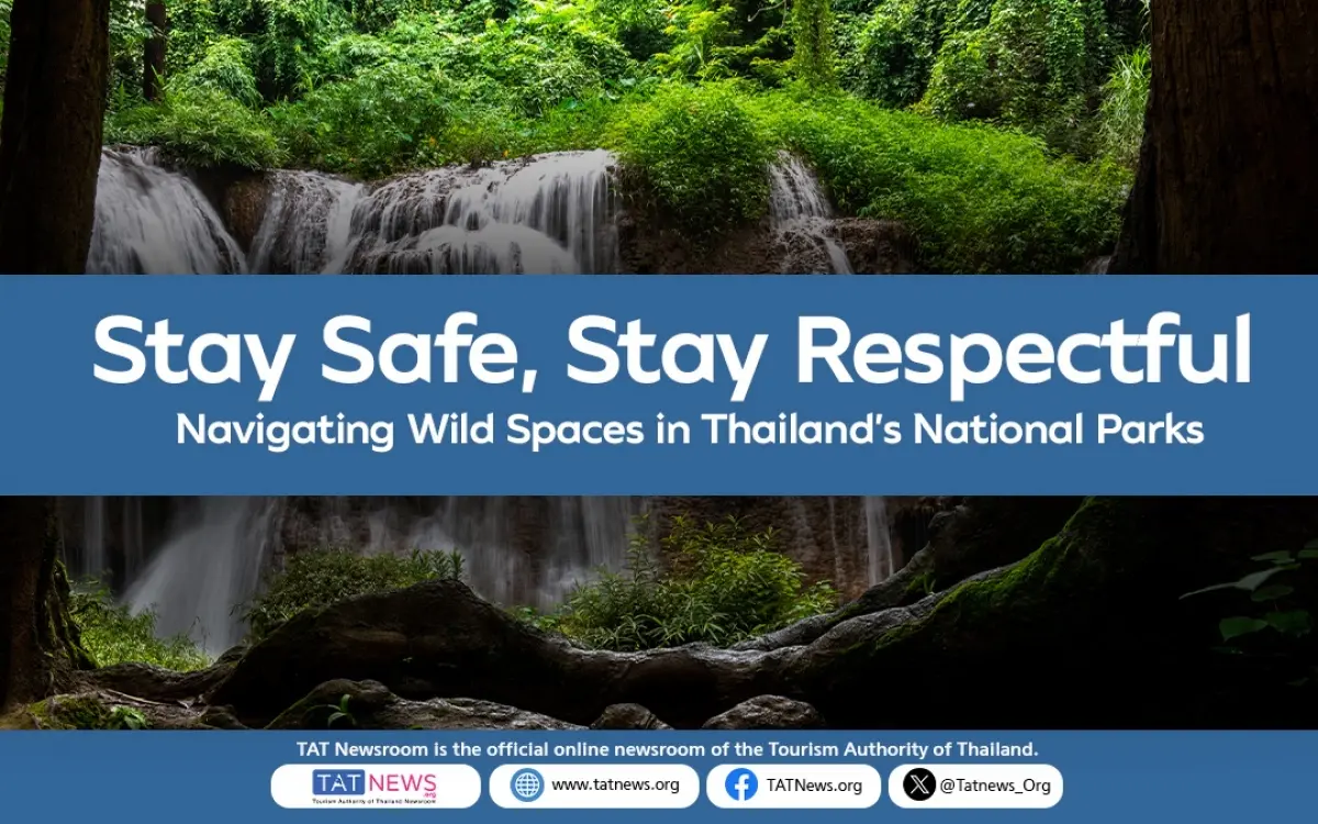 Sicherheitsrichtlinien fuer begegnung mit wilden elefanten in thailands wildnis 131fcaab