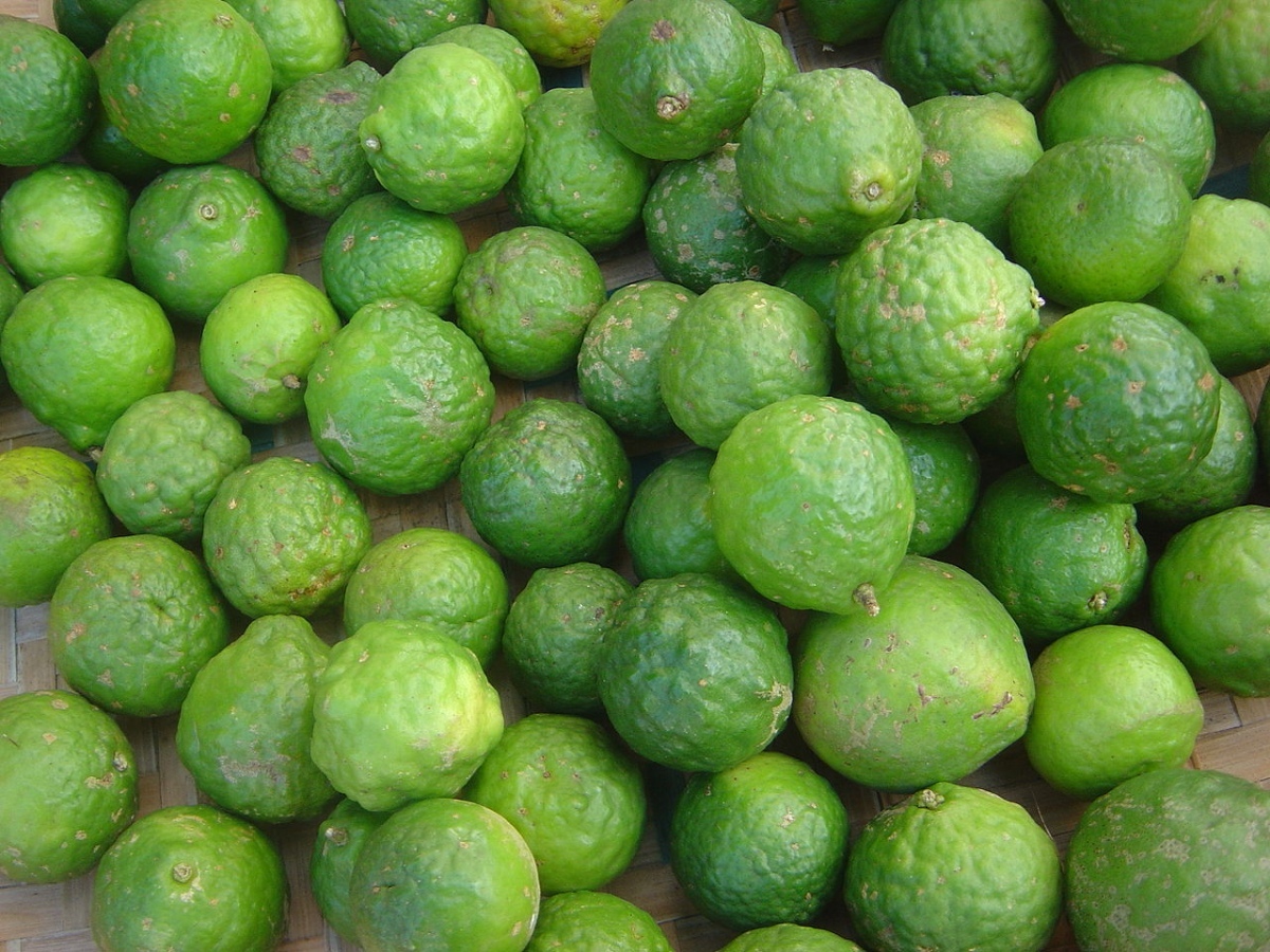 Thailaendische limetten kleine fruechte mit grosser wirkung 12eac70c