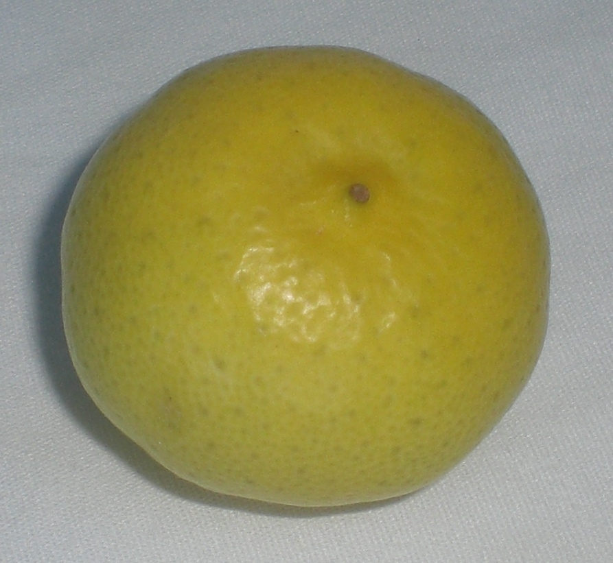 Thailaendische limetten kleine fruechte mit grosser wirkung 9fb555b4