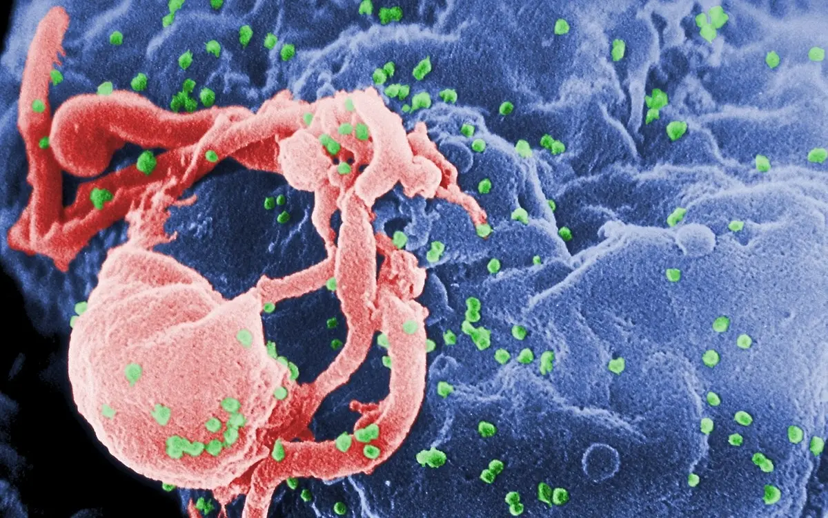 Thailand setzt auf bewusstseinswandel gleichberechtigung fuer menschen mit hiv aade27ef