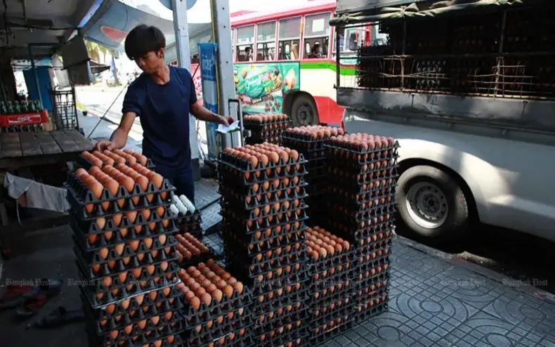 Thailands eier krise buerger zahlen drauf wer ist schuld 39dbd72a