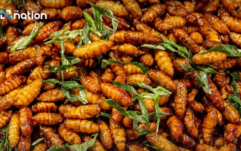 Thailands ekligste snacks lecker a7f049c7