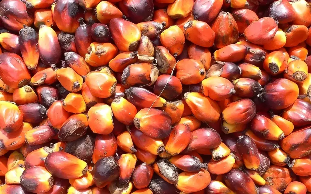 Thailands herzgesundheit in gefahr die rolle von palmoel fb6fed08