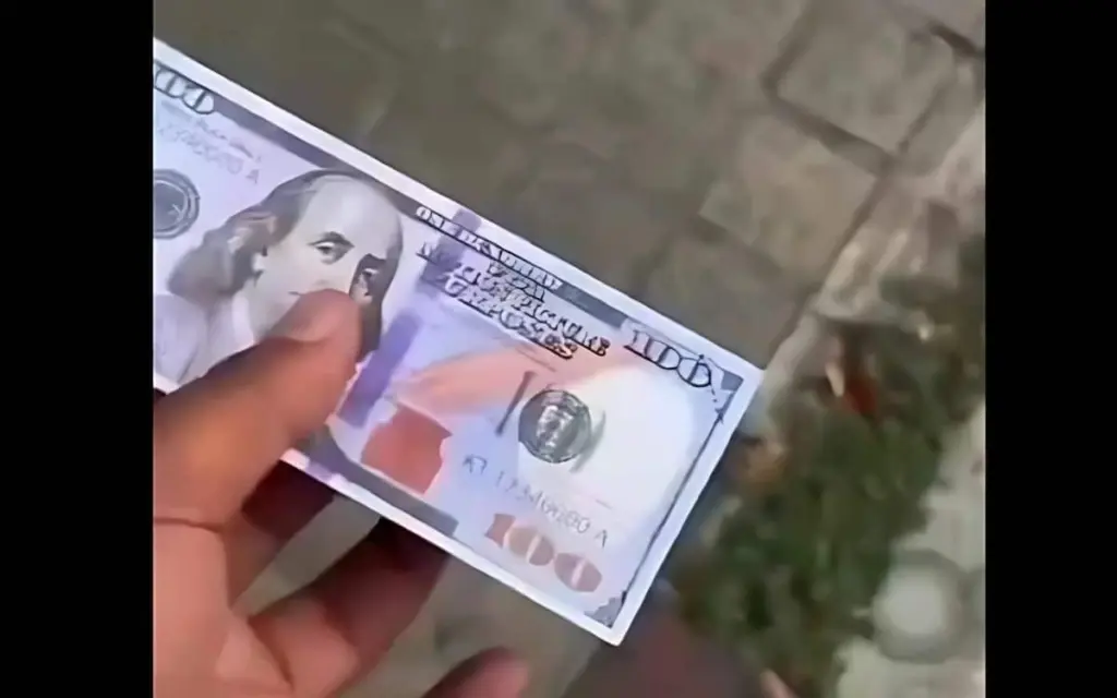 Tourist sorgt mit falschgeld stunt fuer empoerung wut und debatte ueber visumpolitik video 8831eace