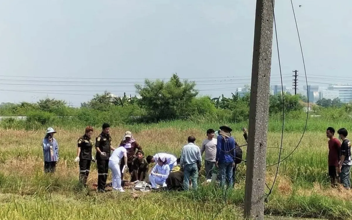 Tragischer stromunfall auf reisfeld in pathum thani zwei maenner bei erntearbeitern toedlich 57b408b1