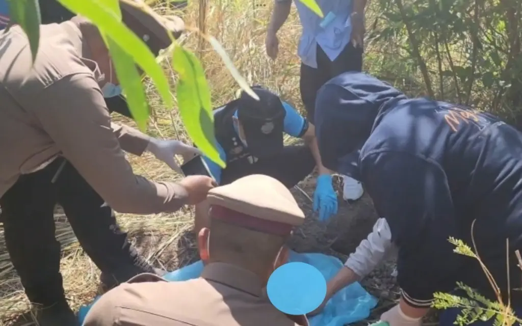 Verstoerende entdeckung babyleiche in reisfeld mit stoffkaninchen bei si sa ket gefunden fe165563