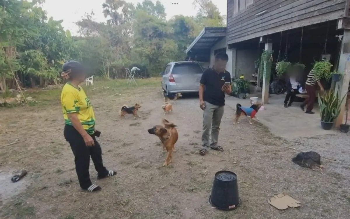 Verstoerende entdeckung in udon thani hunde bringen 400 meth pillen nach hause 7bd1f91a