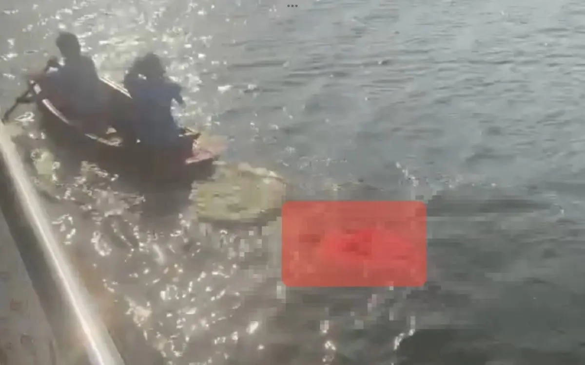 Vorfall auf nachtfaehre vor koh tao alkoholkranker mann begeht selbstmord durch sprung ins wasser 67281c8a
