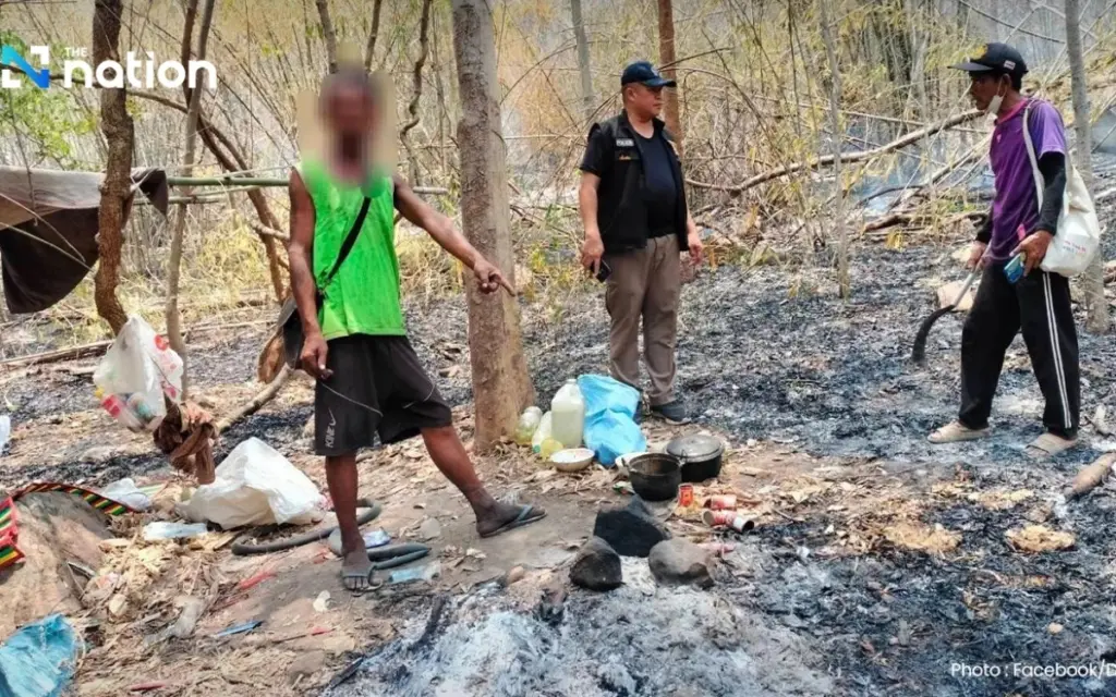 Waldbrand mit verheerenden folgen in thailand taeter zu 4 jahren haft verurteilt millionenstrafe 0838e6e1