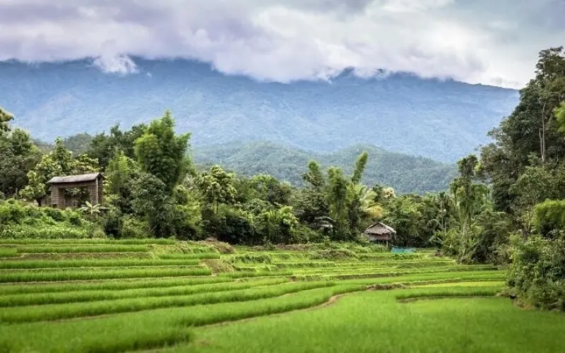 Wie wird sich der klimawandel auf die zukunft thailands auswirken e883cb4f