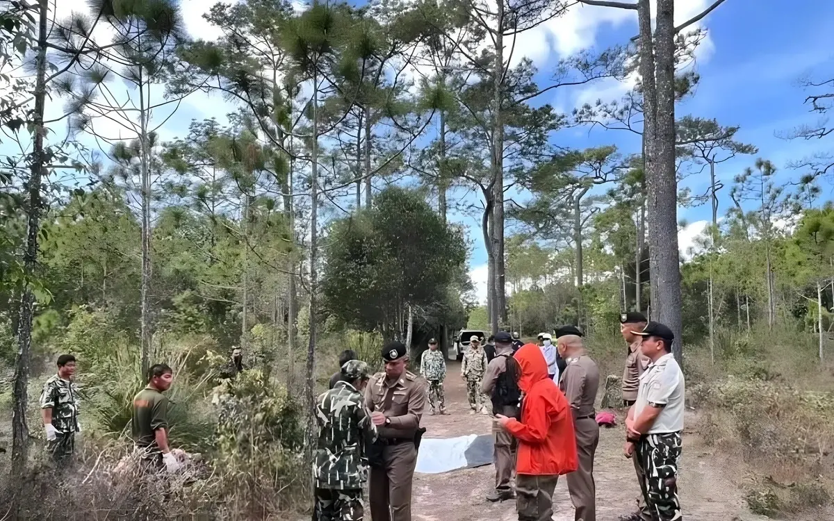 Wilder elefant greift touristen an eine tote sicherheitsmassnahmen ergriffen 9e598260