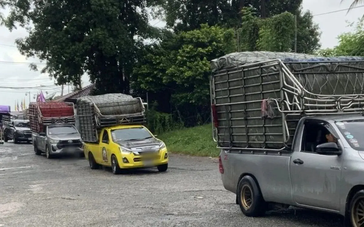 Dutzende lkw gestrandet wer stoppt thailands obst exporte caab1489