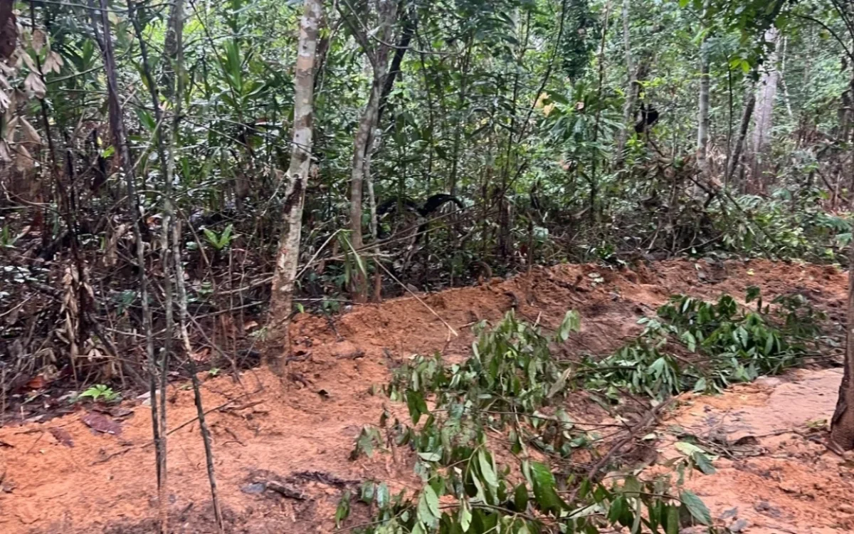 EILMELDUNG: Grenzstreit-Wendepunkt erreicht – Thailand jubelt