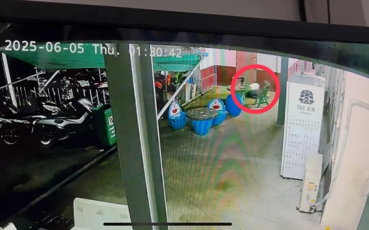Millionen betrug auslaender fluechtet aus polizeiverhoer a7ff82d3