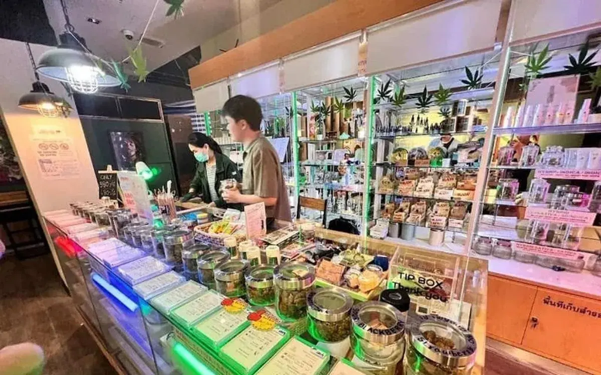 Touristen sauer stinkende cannabis shops vertreiben urlauber d1593a1b