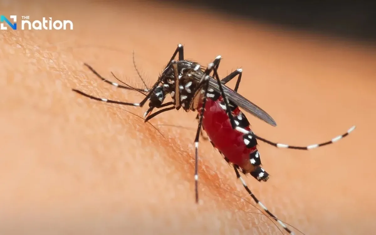 Ueber 787 dengue faelle in bangkok behoerden warnen vor epidemie 5e8fae8a