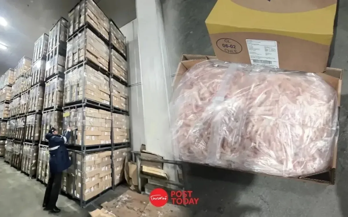 Vogelgrippe-Alarm! Thailand stoppt illegale Hähnchenfüße aus Deutschland