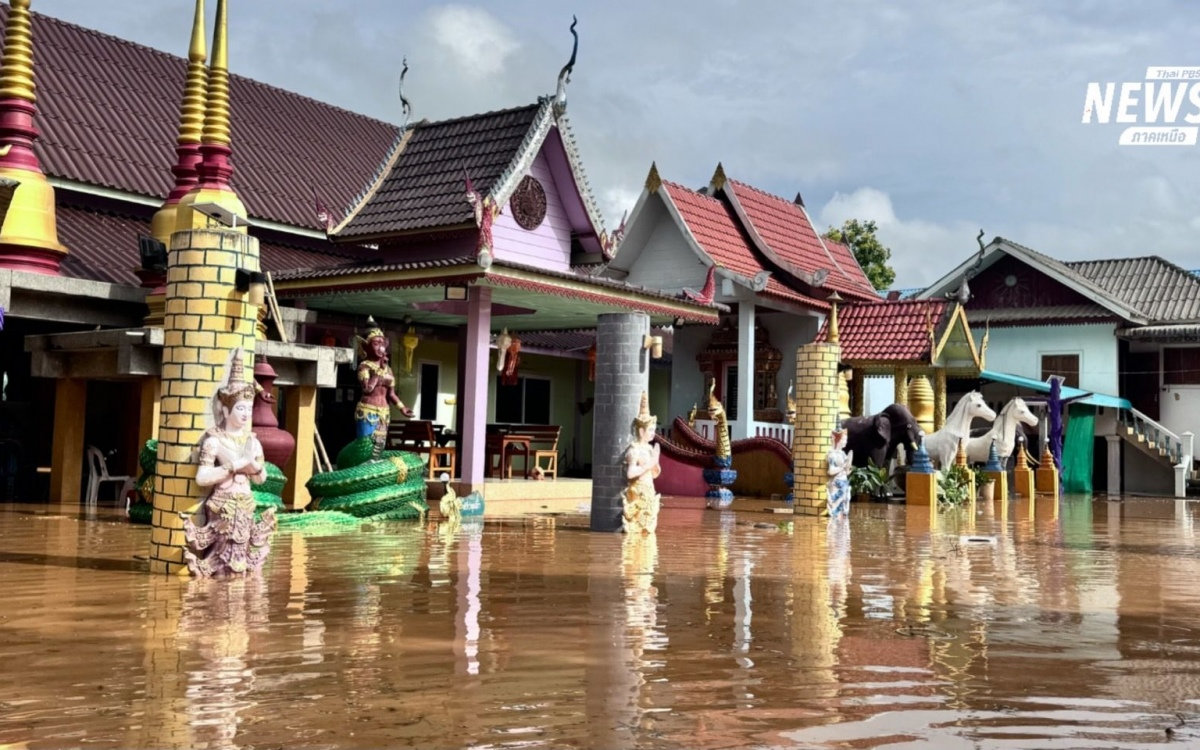 wb-kb-20250628-184418